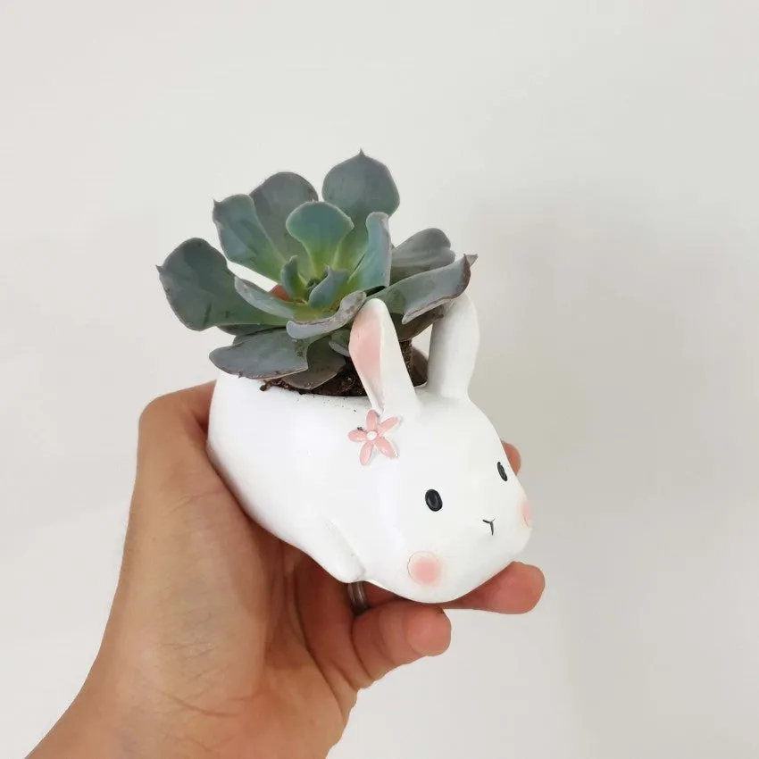 Animal Pots series II