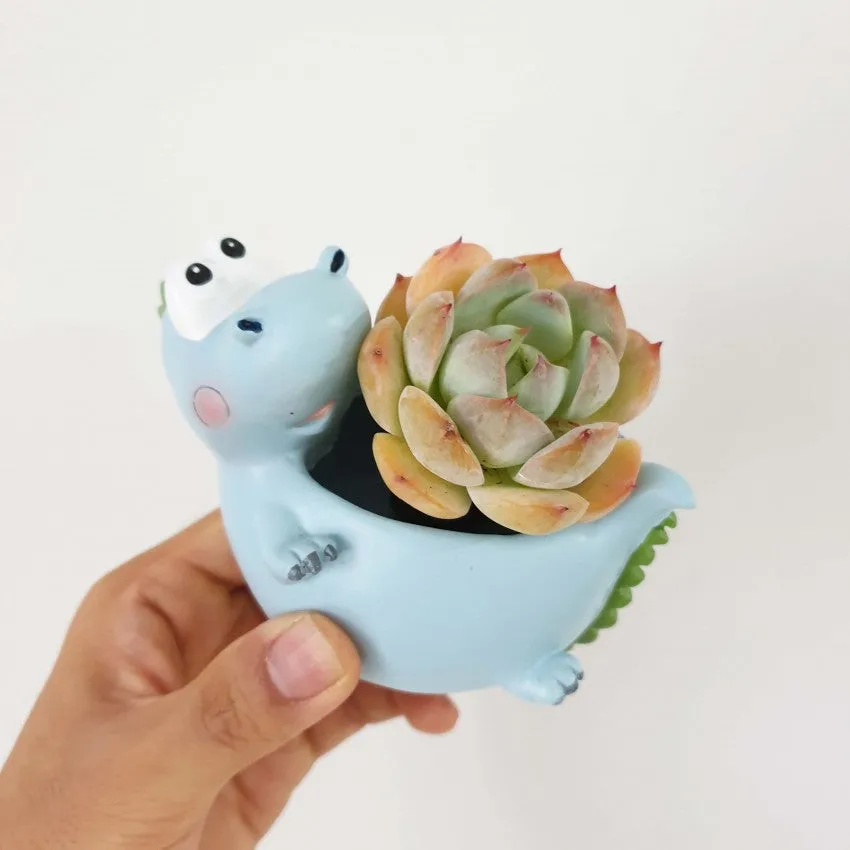 Animal Pots series II