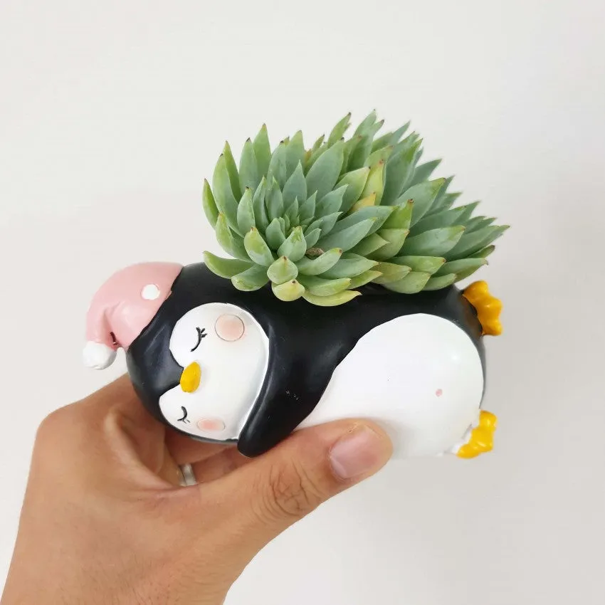 Animal Pots series II