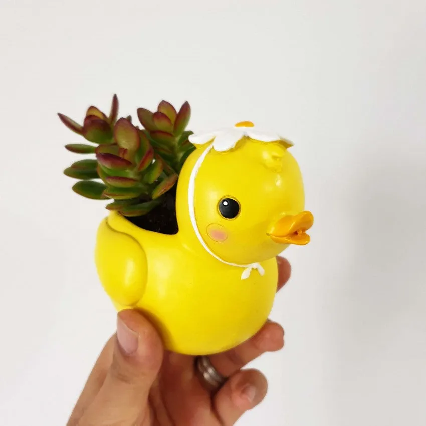 Animal Pots series II