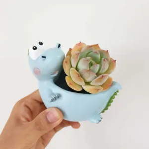 Animal Pots series II