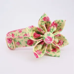 Autumn Design Floral  Personalized ID Collars Leash Set