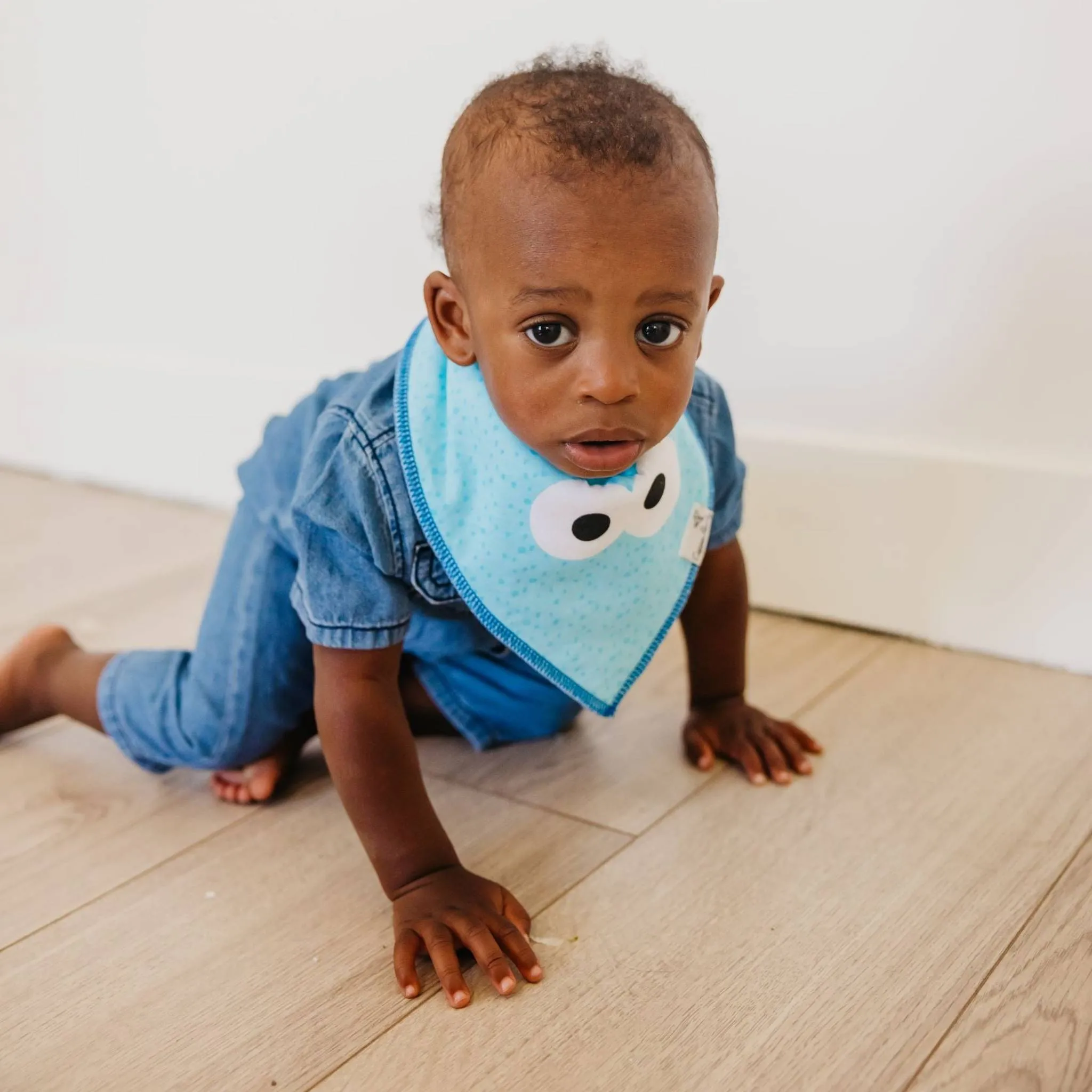 Baby Bandana Bibs - Elmo