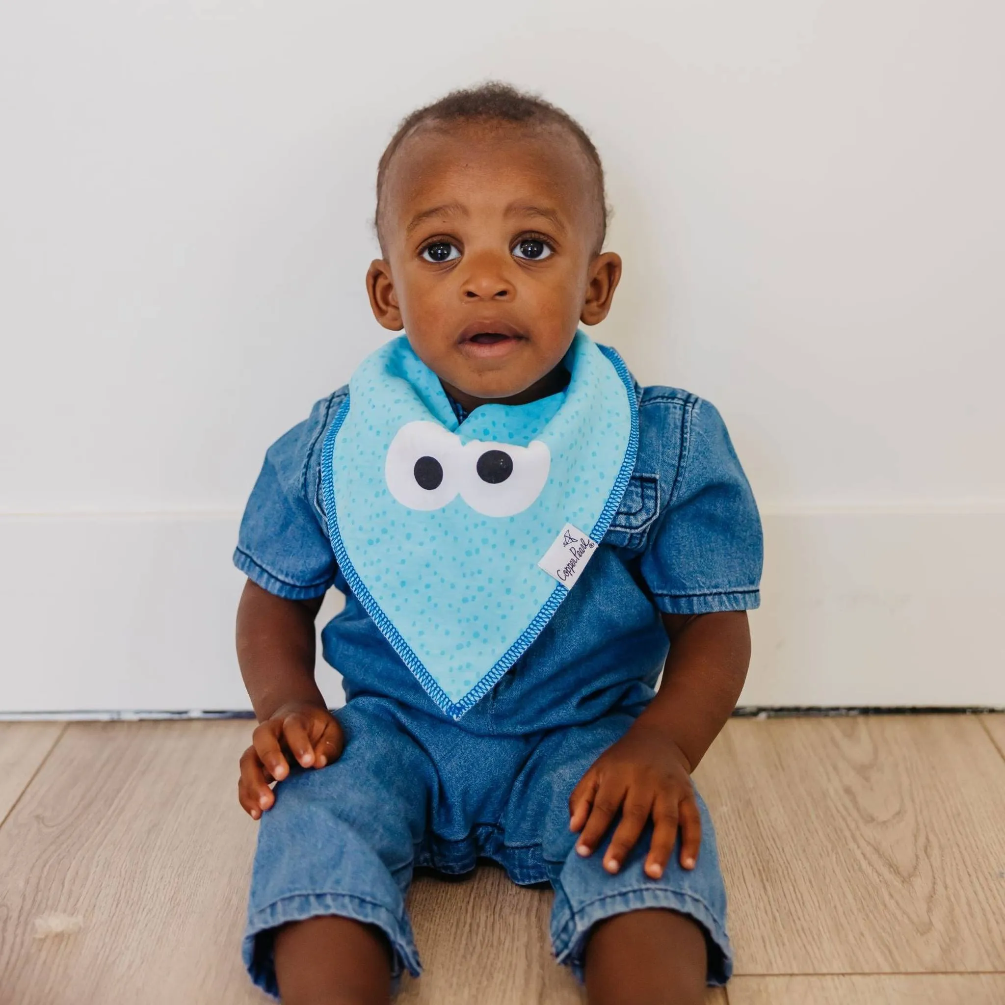 Baby Bandana Bibs - Elmo