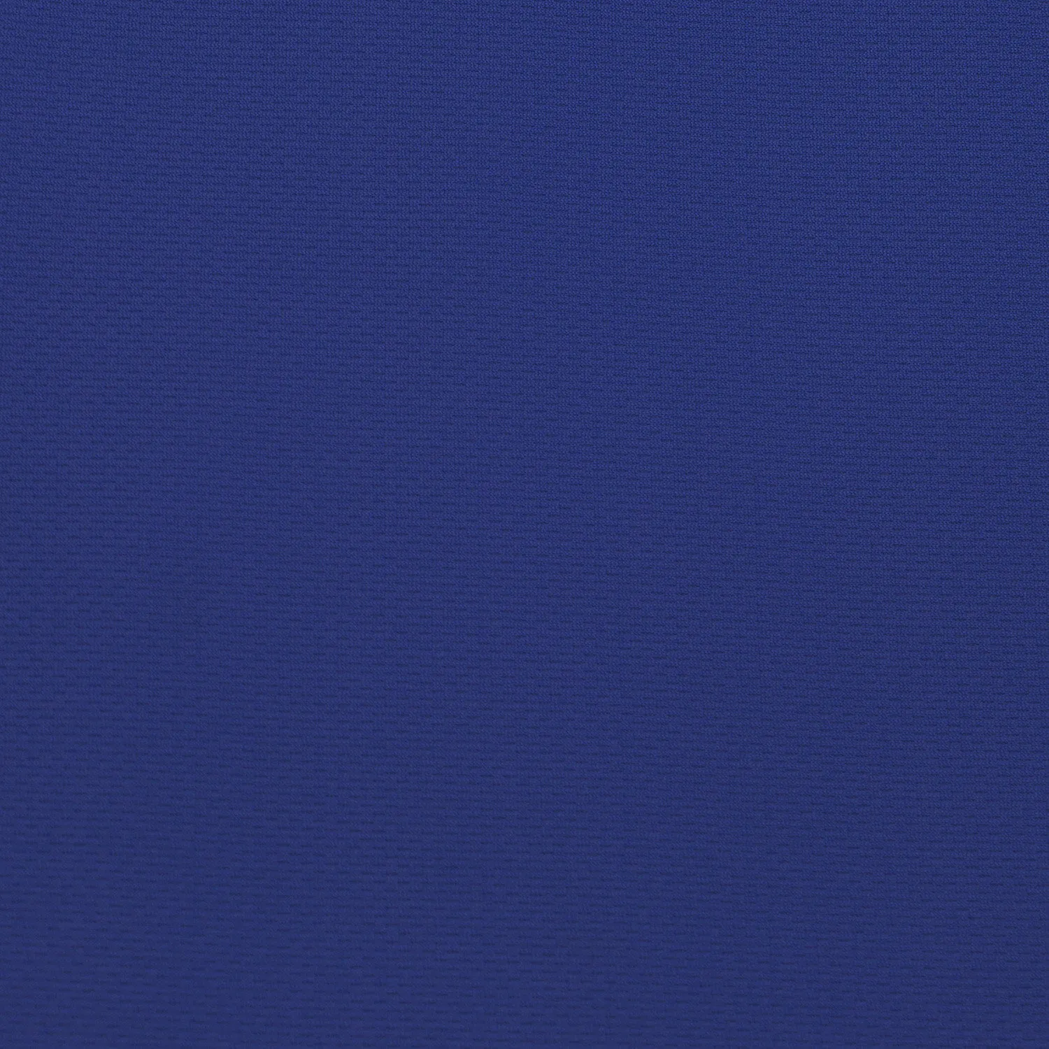 Birds Eye Royal Blue Col 6