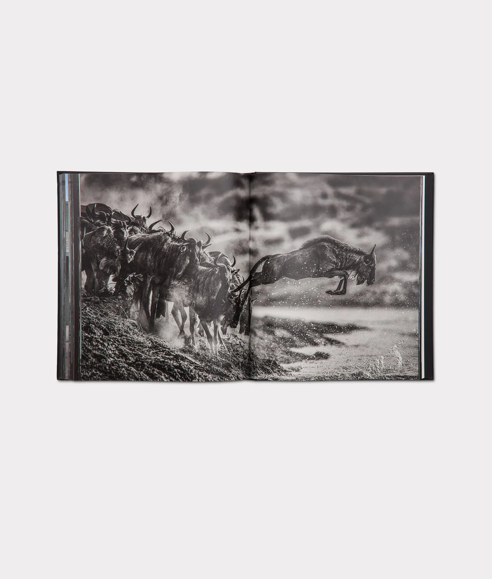 David Yarrow Story Telling Book :: Black