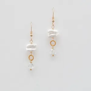 Earrings 993