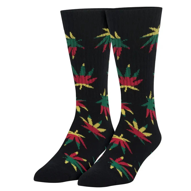 Ganja - Men