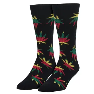 Ganja - Men