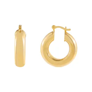 Hollow Thick Hoop Earring