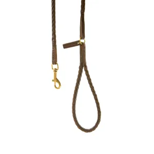 Plaited Leather Dog Lead