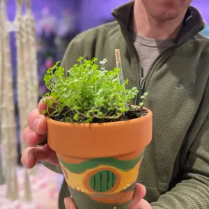 Pot Painting 🎨