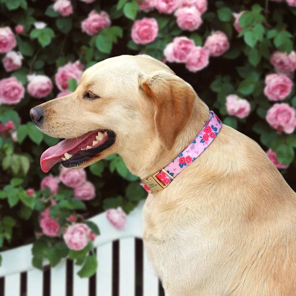 Printed Waterproof Personalized Collars And Leashes