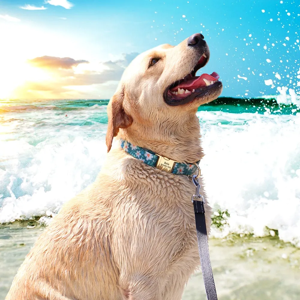Printed Waterproof Personalized Collars And Leashes