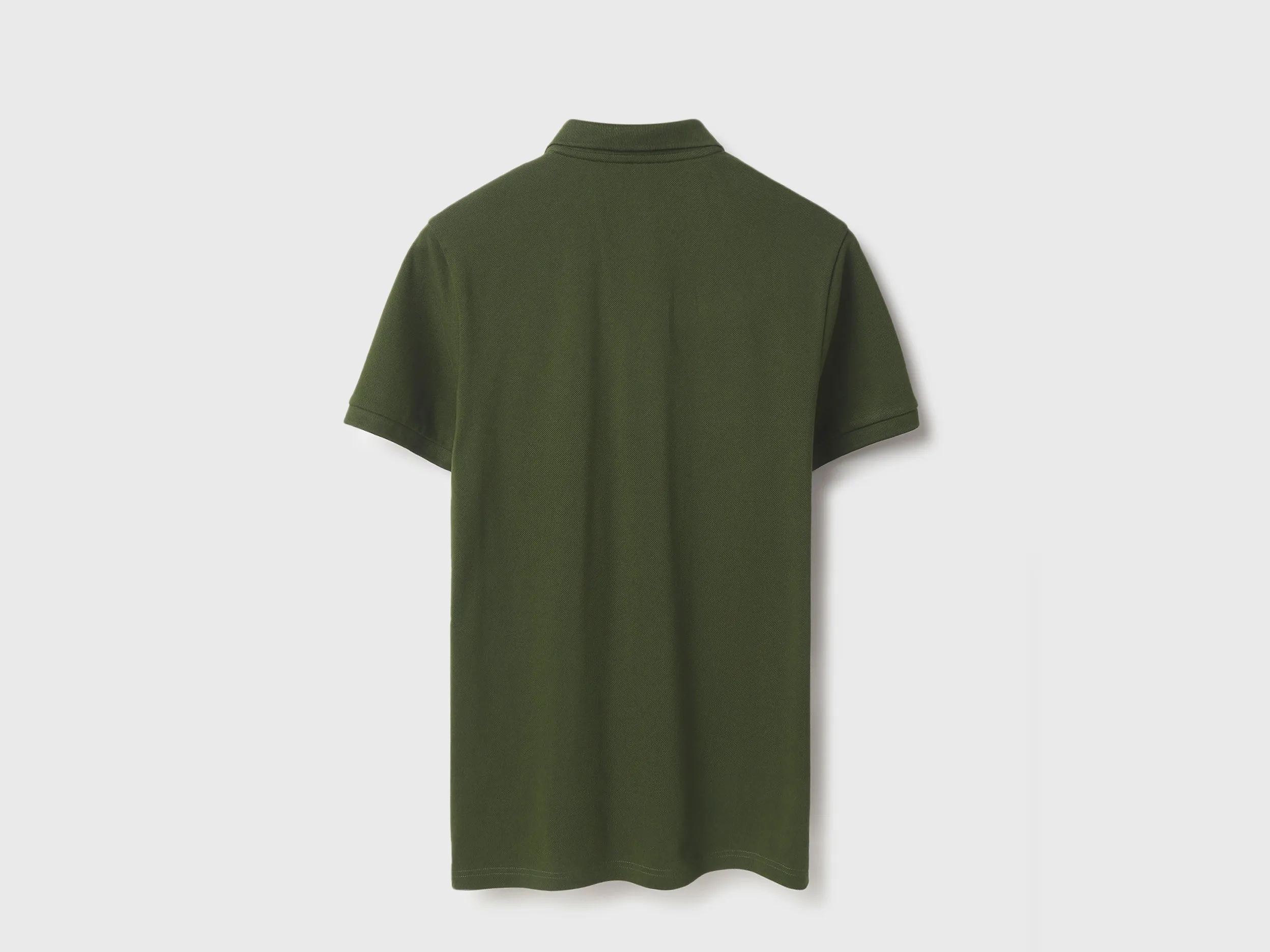 Regular Fit Polo Neck Solid Tshirt
