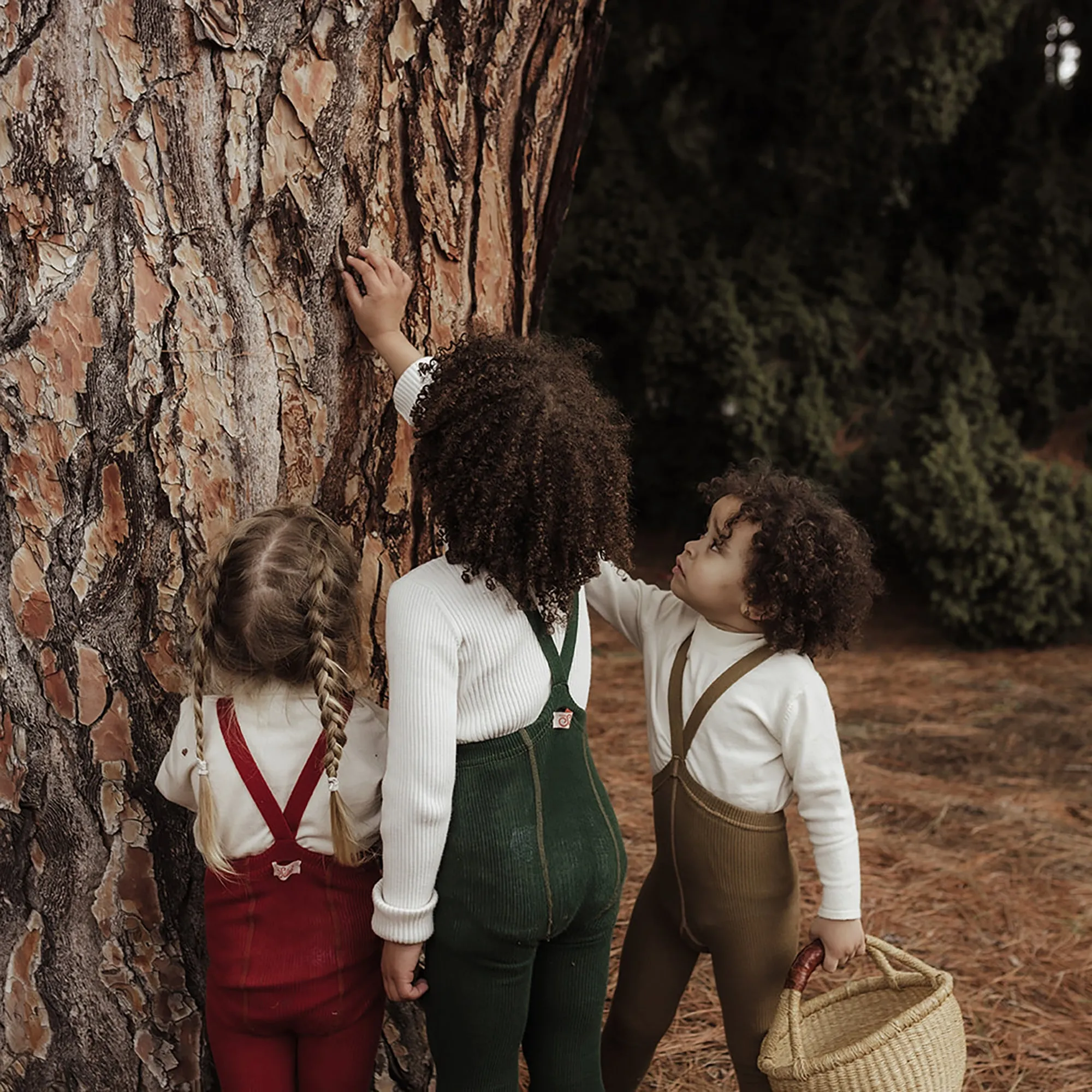 Silly Silas Footed Tights with Braces - Dark Forest Green