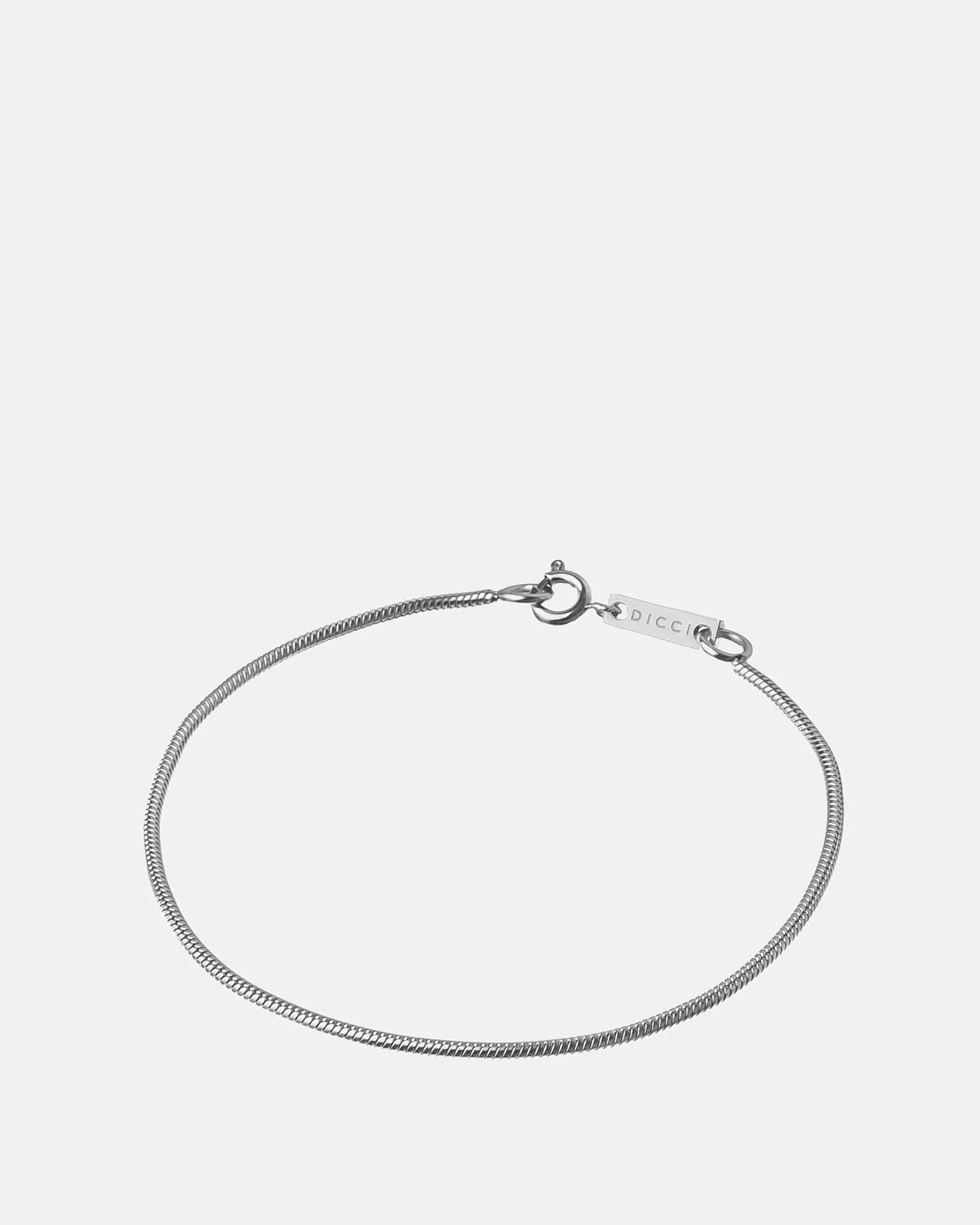 Snake Bone Chain Bracelet