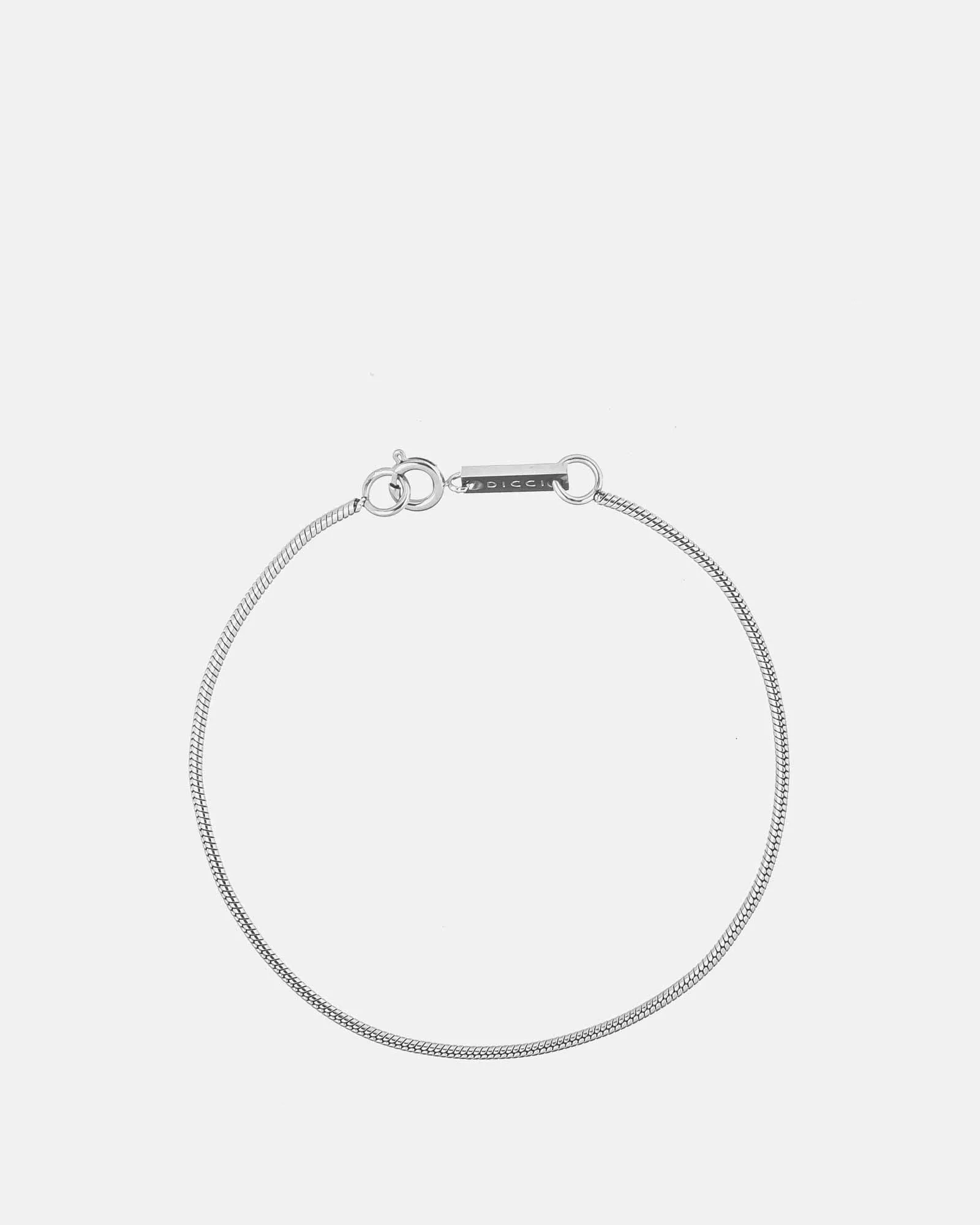 Snake Bone Chain Bracelet
