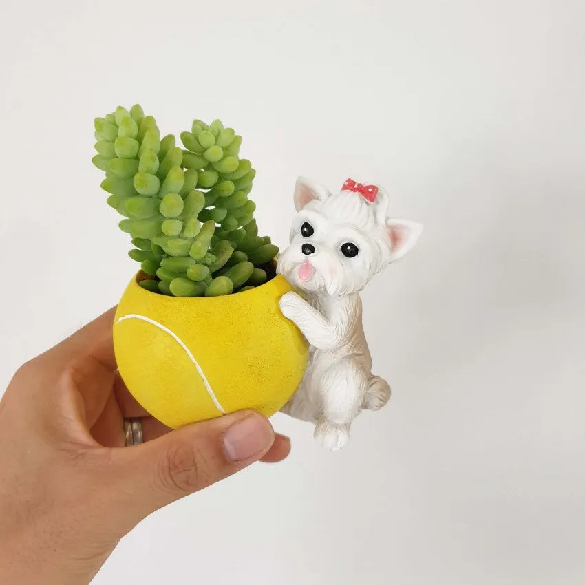 Sports Dog (Resin)