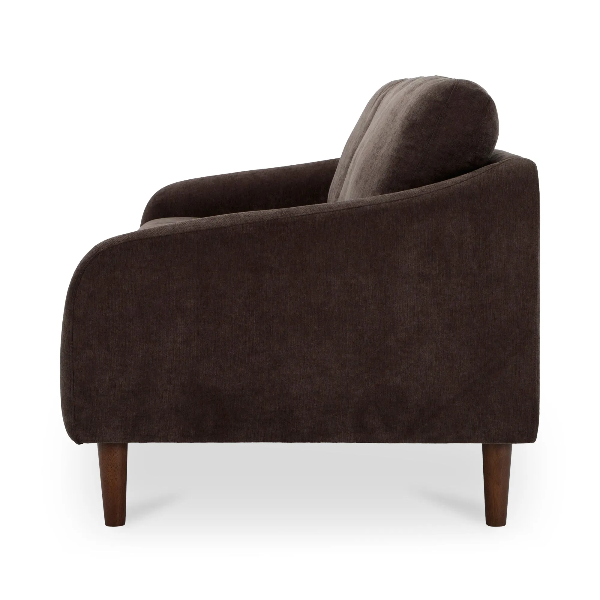Timeless Elegance Transitional Sofa