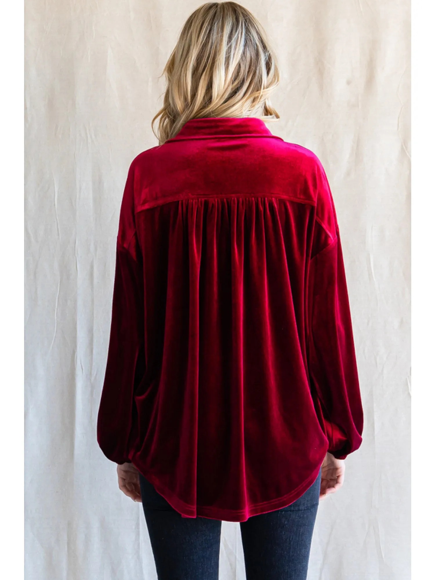 Velvet Top with V-Neck