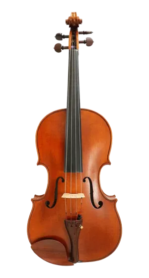 Verdi Viola 16"