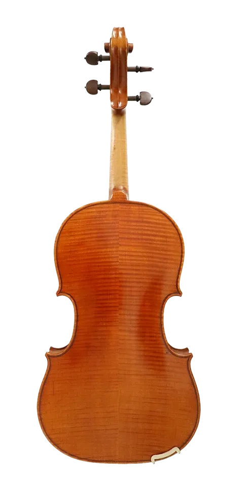Verdi Viola 16"