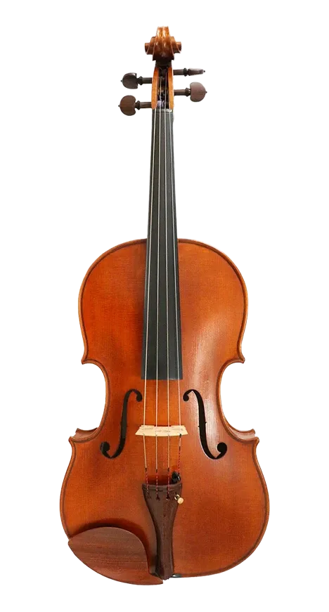 Verdi Viola 16"