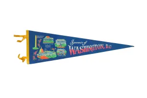 Vintage Washington DC Felt Flag